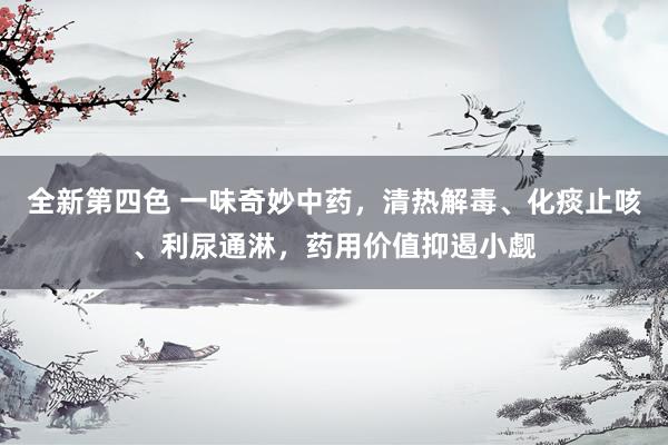 全新第四色 一味奇妙中药，清热解毒、化痰止咳、利尿通淋，药用价值抑遏小觑