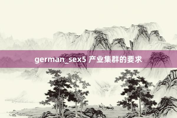 german_sex5 产业集群的要求