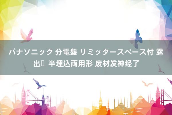 パナソニック 分電盤 リミッタースペース付 露出・半埋込両用形 废材发神经了