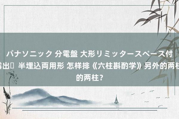 パナソニック 分電盤 大形リミッタースペース付 露出・半埋込両用形 怎样排《六柱斟酌学》另外的两柱？